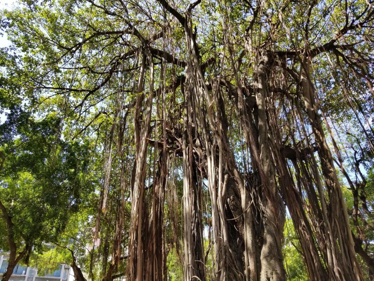 גראנדה באיה Bodhee Villa מראה חיצוני תמונה